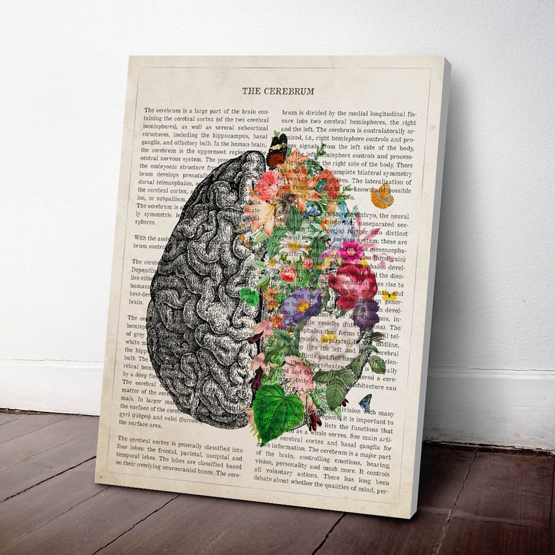 Brain Art Flower Anatomy Print, Psychology, Neurologist gift, Psychologist Gift Idea, Medical Poster, Med School, Medical Decor image 3