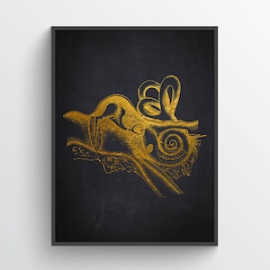 Inner Ear Anatomy Print, Gift For Audiologist, Hearing Doctor, ENT Gift, ENT Student Graduation, Medical Decor