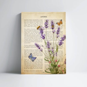 May include: A vintage botanical illustration of lavender flowers with a bee and butterflies. The text on the page describes the history and uses of lavender.