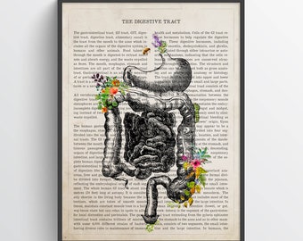 Digestive Tract Anatomy Flower Print, Intestine, Stomach Art, Medical office decor, Gastroenterologist Gift, Colon, Liver, Pancreas