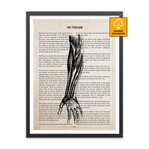 May include: Black and white anatomical illustration of the forearm, hand, and wrist, with detailed skeletal and muscular structures. The image is printed on aged paper with text, and includes a digital download icon.