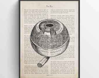 Human Eye Anatomy Print, Optometry, Optometrist, Ophthalmologist Graduation Gift Idea, Doctor Office Print, Medical Print