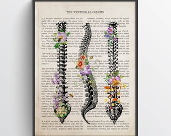 Vertebral column Anatomy Flowers Print, Chiropractor Gift Idea, Anatomical Vertebral column, Neurosurgeon Art, Orthopedic Office decor