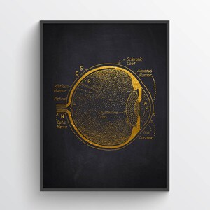 Human Eye Anatomy print, Gift for ophthalmologist,  Decor for Optometrists, Optometry Eye Art, Medical Student Gift
