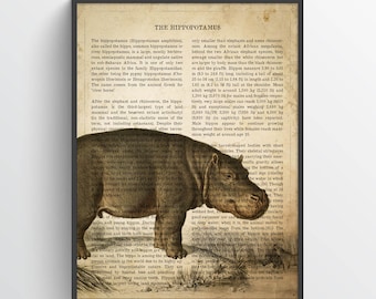 May include: A vintage illustration of a hippopotamus in a natural setting. The image is from an old book about animals and includes text about the hippopotamus's size, weight, and habitat. The text reads "The Hippopotamus".