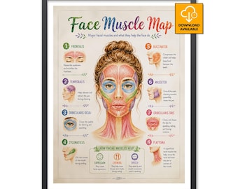 Facial Muscles Anatomy Poster Esthetician Office Face Yoga Massage Clinic Medical Wall Art Head Neck Chart Speech Dental Student Gift Prints