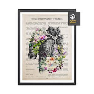 Muscles of the Trunk Anatomy Print, Chiropractor Gift, Licensed Massage Therapist Graduation, Physical Therapy Decor, RMT Graduation Present