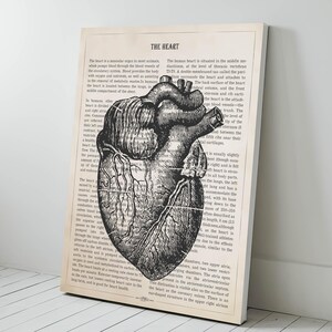 May include: A vintage anatomical illustration of the human heart, printed on a page from an old book. The heart is depicted in black and white, with detailed veins and arteries. The text surrounding the image describes the heart's function and location in the body.