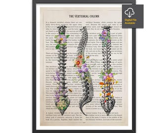 Vertebral column Anatomy Flowers Print, Chiropractor Gift Idea, Anatomical Vertebral column, Neurosurgeon Art, Orthopedic Office decor