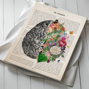 May include: A vintage anatomical illustration of the human brain, with the left side showing the brain's structure and the right side featuring a colorful floral arrangement. The text "THE CEREBRUM" is visible at the top of the image.