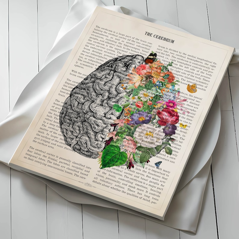 May include: A vintage anatomical illustration of the human brain, with the left side showing the brain's structure and the right side featuring a colorful floral arrangement. The text "THE CEREBRUM" is visible at the top of the image.