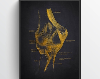 Elbow Anatomy Print, Gift for Orthopedic surgeon, Orthopedists Decor, Medical Student Graduation Wall Art