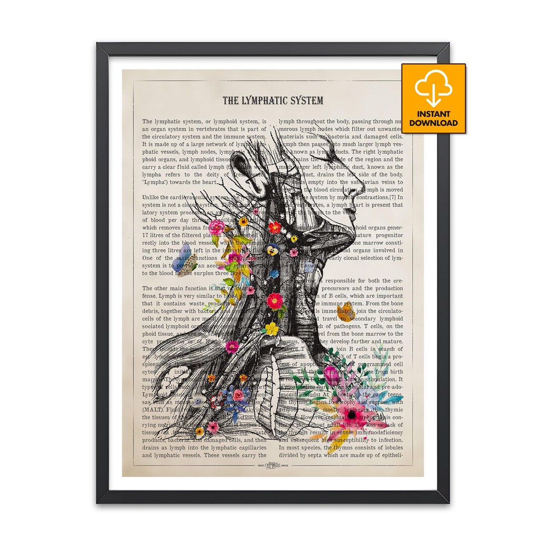 Lymphatic System Anatomy Print, Floral Immune System Poster, Massage ...