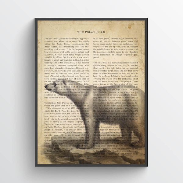 Vintage Polar Bear Print, Safari Painting, Ice Bear Illustration, Sea Bear Decor, Antique Animal Drawing, Zoo animals, Natural History