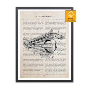 Puede incluir: Un juego de tres tazas de cerámica con un acabado mate moteado. Cada taza presenta un color diferente: azul claro, crema y gris. Las tazas tienen un diseño simple y moderno y un asa cómoda.