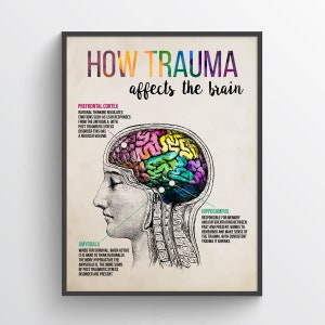 How Trauma Affects The Brain print, Brain anatomy, Psychology Poster, Mental Health Gift, Cognitive Behavioral Therapy, Traumatologist Gift