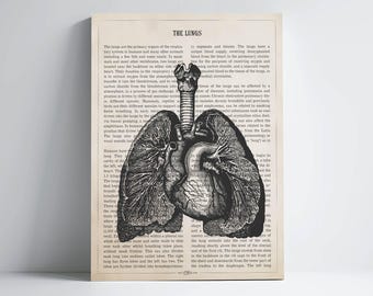 Human Lungs Anatomy Print, Medical Poster, Respiratory Therapy Gift, Respiratory Therapist and Pulmonologist Gift Idea, Med School