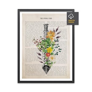 Spinal Cord with Flowers Anatomy Print, Vertebral Column, Chiropractor Gift Idea, Neurosurgeon Art, Orthopedic office decor