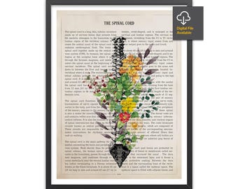 Spinal Cord with Flowers Anatomy Print, Vertebral Column, Chiropractor Gift Idea, Neurosurgeon Art, Orthopedic office decor