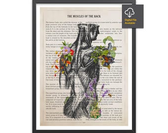 Muscles of the Back Anatomy Print, Chiropractor Gift, Licensed Massage Therapist Graduation, Physical Therapy Decor, RMT Graduation Present