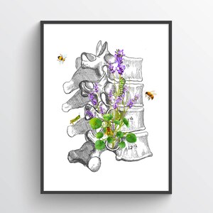 Dorsal Vertebrae with Lavender Anatomy Print, Chiropractor Gift Idea, Anatomical Vertebral column, Neurosurgeon Art, Orthopedic office decor