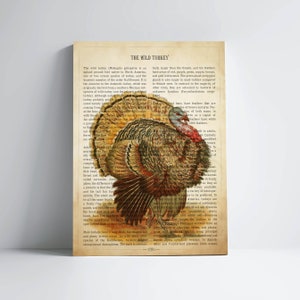 Wild Turkey Print for Farmhouse Bird Lovers Gift Antique Turkey Poster of Game Bird Natural History Drawing Thanksgiving Decor
