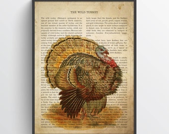 Vintage Wild Turkey Print, Safari Painting, Turkey Illustration, Turkey Art, Antique Animal Drawing, Zoo animals, Natural History