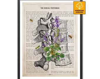 Vintage Dorsal Vertebrae Floral Prints Chiropractor Gifts Orthopedic Wall Art Spine Surgeon Student Graduation Physical Therapy Clinic Decor