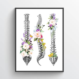 Vertebral Column Anatomy Flower Print, Chiropractor Gift Idea, Anatomical Vertebral column, Neurosurgeon Art, Orthopedic Office decor