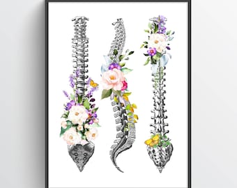 Vertebral Column Anatomy Flower Print, Chiropractor Gift Idea, Anatomical Vertebral column, Neurosurgeon Art, Orthopedic Office decor