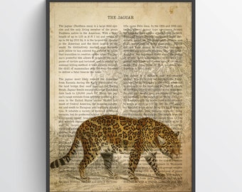 Vintage Jaguar Print, Safari Painting, Panther Illustration, Jaguar Art, Antique Natural History Drawing, Zoo animals