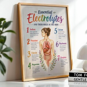 May include: A framed educational poster titled Essential Electrolytes and Their Roles in the Body. It features a central anatomical illustration of the human torso with internal organs, surrounded by seven numbered points detailing electrolytes.