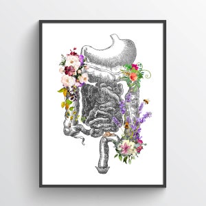 Digestive System Anatomy Print, Intestine, Digestive Tract, Medical office decor, Gastroenterologist Gift, Colon, Liver, Pancreas