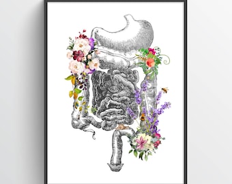 Digestive System Anatomy Print, Intestine, Digestive Tract, Medical office decor, Gastroenterologist Gift, Colon, Liver, Pancreas