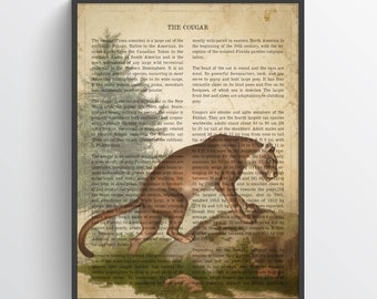 Vintage Cougar Print, Safari Painting, Mountain Lion Illustration, Puma Art, Antique Natural History Drawing, Zoo animals