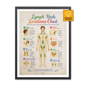 May include: A framed educational chart titled Lymph Node Locations Chart featuring a central human figure with highlighted green lymphatic pathways and eight numbered diagrams illustrating specific node locations in the head, neck, and body.