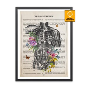 May include: Anatomy art print showing a detailed illustration of the human torso's muscles, with colourful floral accents. The print is framed in black and includes the text "THE MUSCLES OF THE TRUNK".
