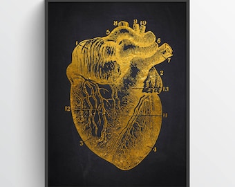 Heart Anatomy Print, Cardiologist Gift idea, Cardiology Decor, Cardiovascular system, Medical School Wall Art,  Heart Poster