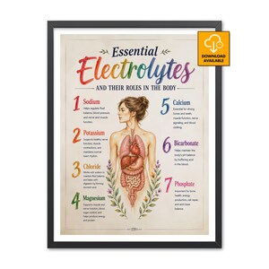 May include: A framed educational poster titled Essential Electrolytes and Their Roles in the Body, featuring a central anatomical illustration of human internal organs surrounded by seven numbered points detailing sodium, potassium, chloride, magnesium, calcium, bicarbonate, and phosphate.