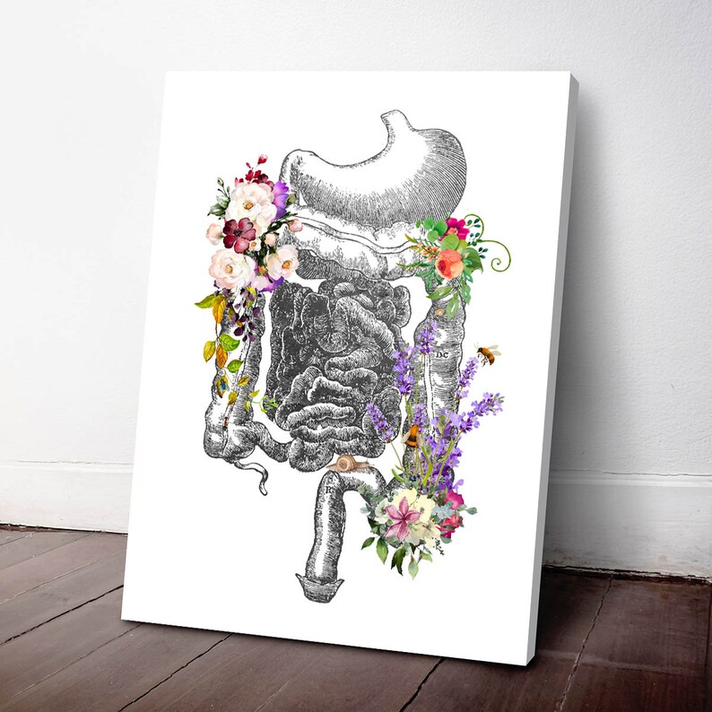 Digestive System Anatomy Print, Intestine, Digestive Tract, Medical ...
