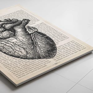 May include: A vintage anatomical illustration of the human heart, printed on a cream-colored page. The heart is depicted in black and white, with intricate details of the chambers and vessels. The surrounding text describes the heart's function and circulation.