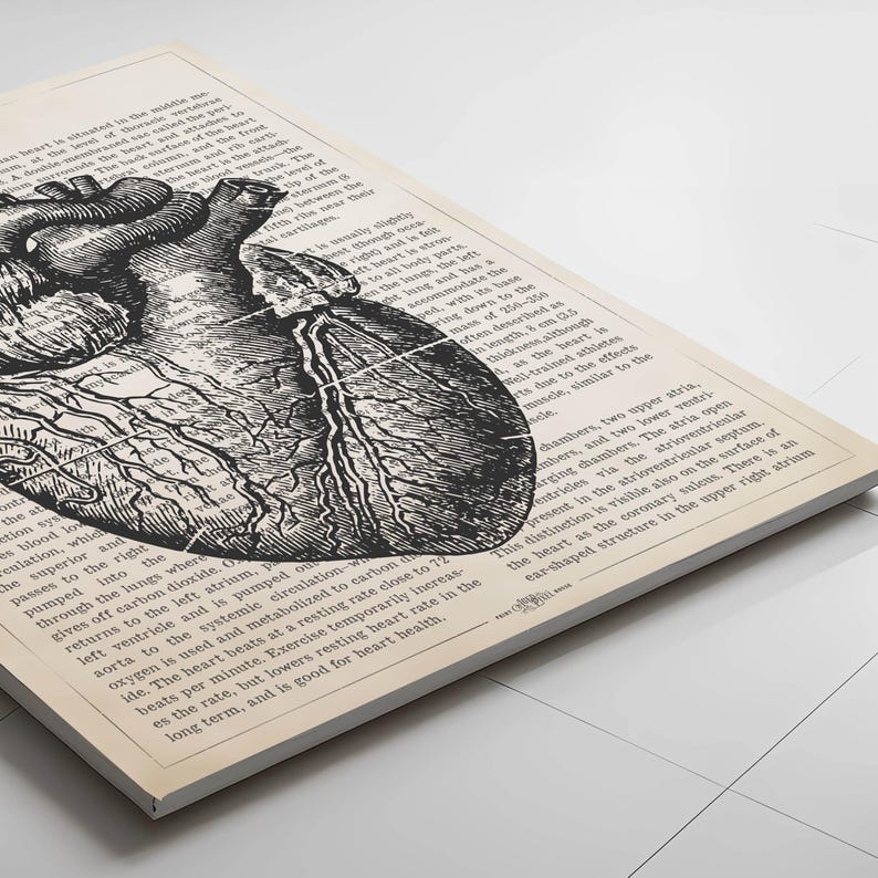 May include: A vintage anatomical illustration of the human heart, printed on a cream-colored page. The heart is depicted in black and white, with intricate details of the chambers and vessels. The surrounding text describes the heart's function and circulation.