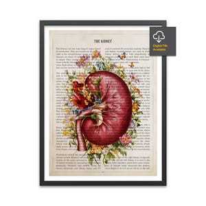 Kidney Anatomy Print, Urology Gift, Kidney Transplant, Urologist Nephrologist, Clinic Medical Decor Kidney Art,  Nephrology Decor