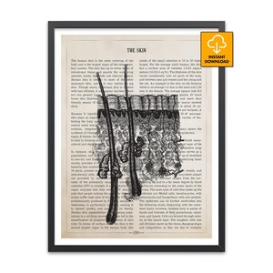 May include: A framed vintage print showing a detailed black and white illustration of skin layers, hair follicles, and the epidermis. The print includes the text "THE SKIN" and scientific text on a vintage paper background. Includes an "INSTANT DOWNLOAD" graphic.
