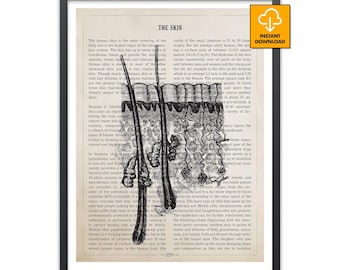 Skin Anatomy Poster, Hair Follicle Diagram, Vintage Medical Illustration, Dermatology Wall Art, Human Skin Structure Chart