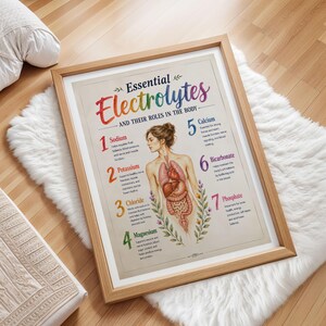 May include: A framed educational poster titled Essential Electrolytes and Their Roles in the Body, featuring a central anatomical illustration of a human torso with internal organs, surrounded by numbered text descriptions of seven electrolytes.