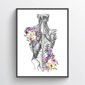 Muscles of the Back Anatomy Print, Chiropractor Gift, LMT Graduation, Physical Therapy Decor, Registered Massage Therapist