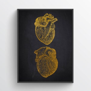Human Heart Anatomy Print, Cardiologist Gift idea, Cardiology Decor, Cardiovascular system, Medical School Wall Art, Heart Poster