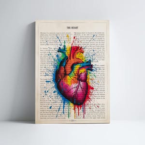 Heart Anatomy Prin