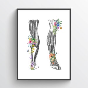 Legs Muscular System Anatomy Flower Print, Massage Therapist, Chiropractor Gift, Medical Student Present, Chiropractic Office Decor